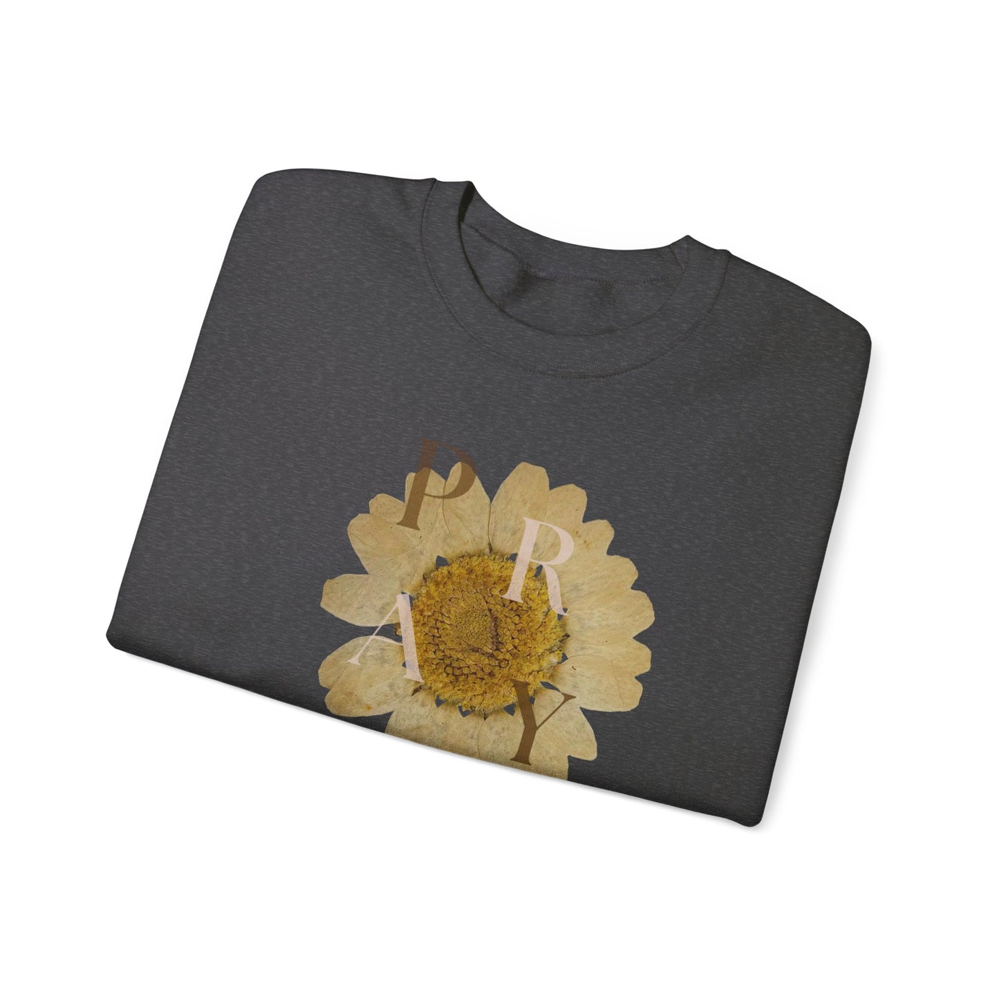 Pray my dear and watch mountains move Ladies sweatshirt