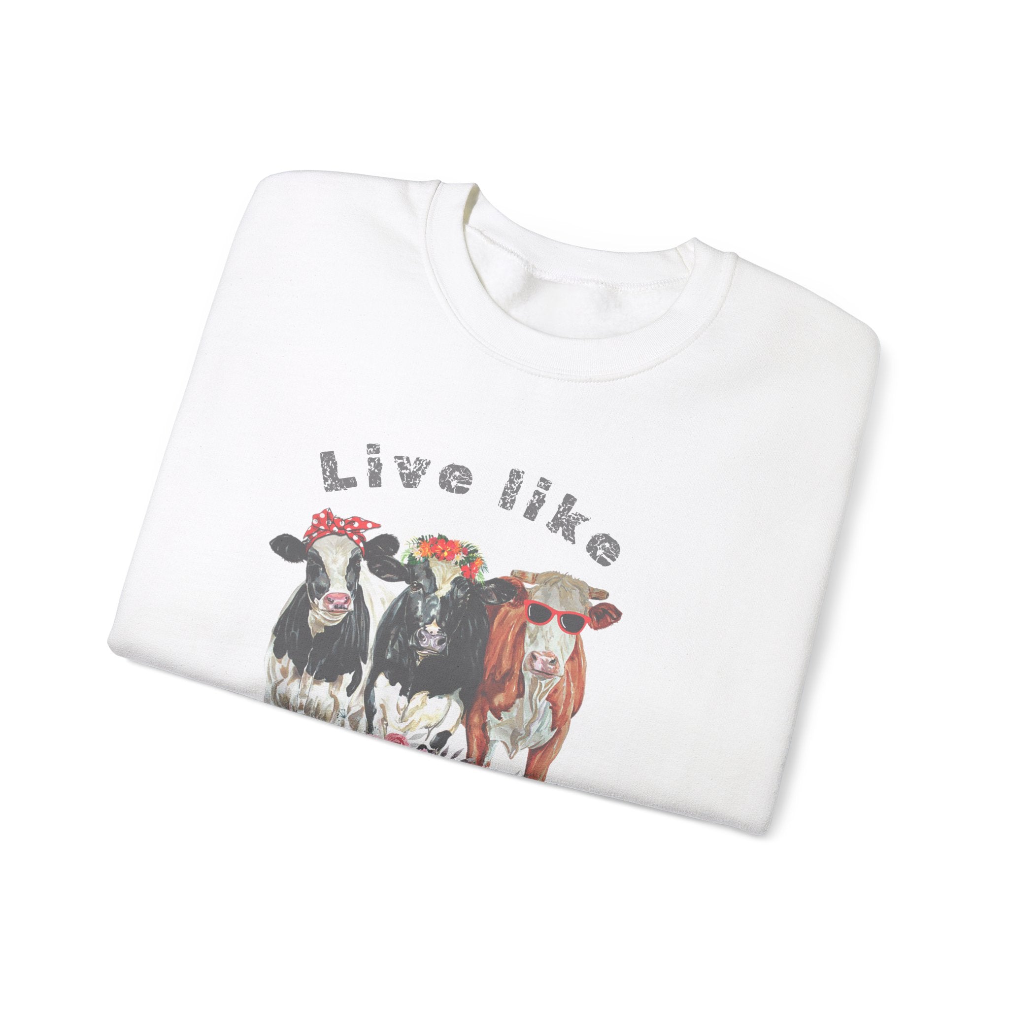 Live like someone left the gate open, ladies  sweatshirt