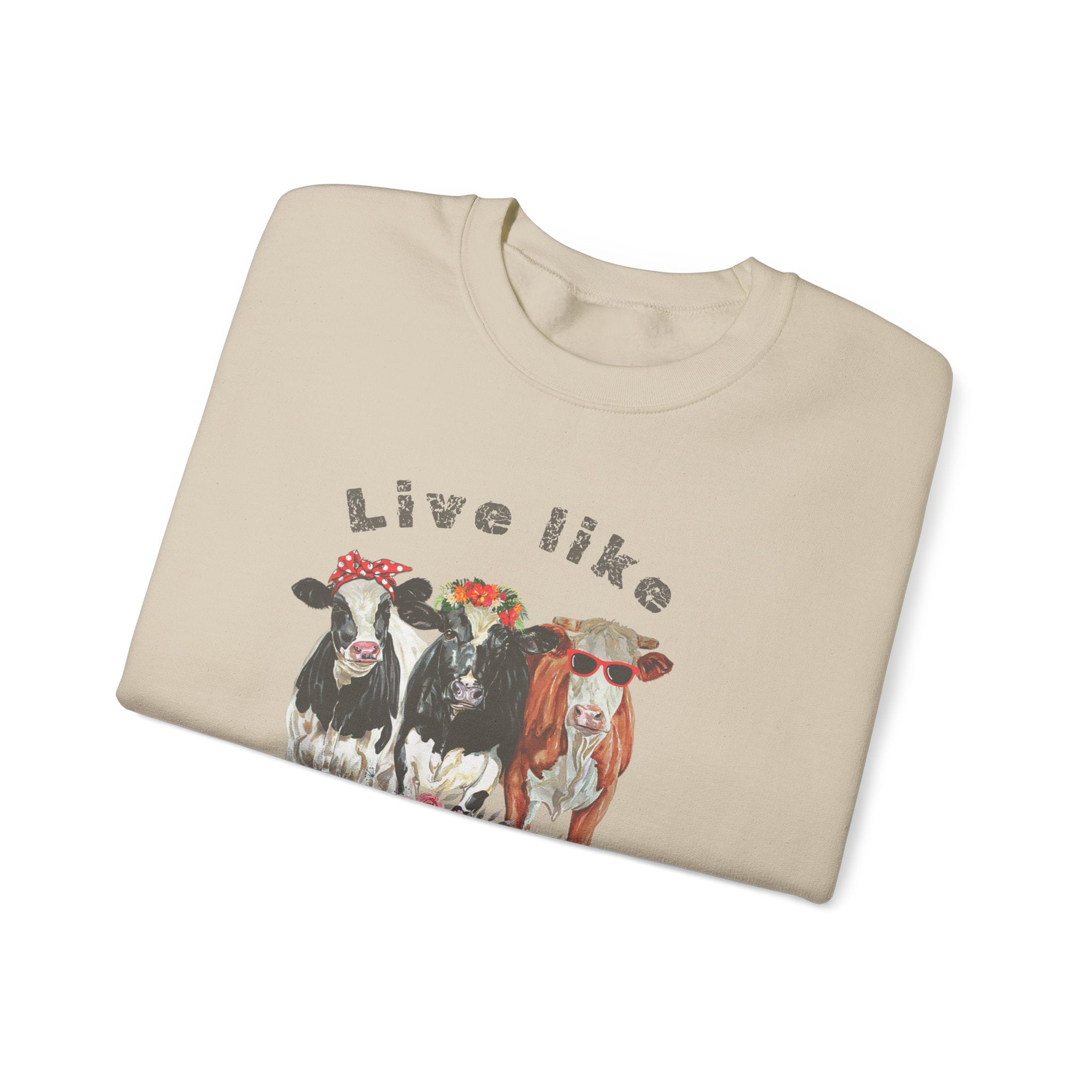 Live like someone left the gate open, ladies  sweatshirt