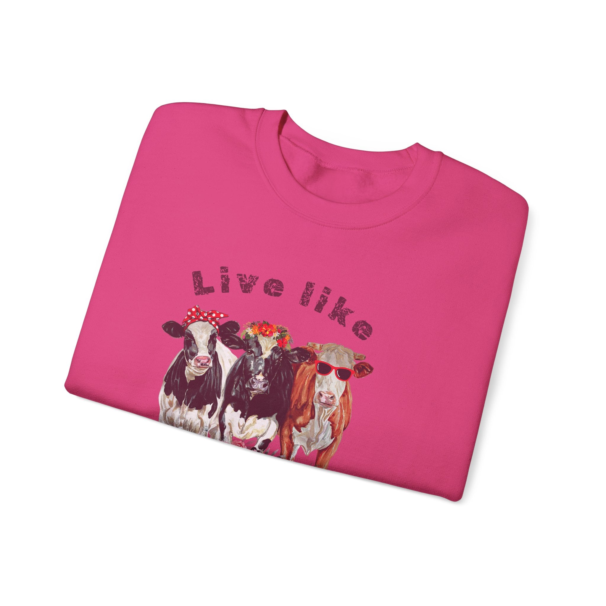 Live like someone left the gate open, ladies  sweatshirt