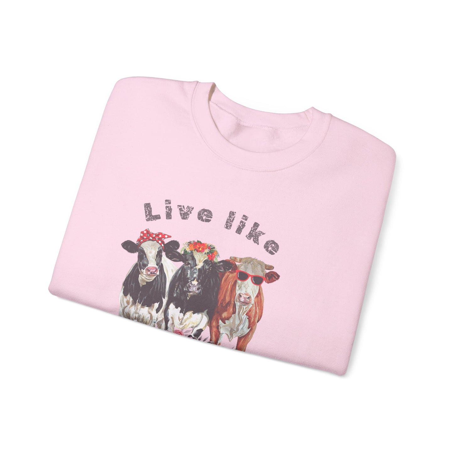 Live like someone left the gate open, ladies  sweatshirt